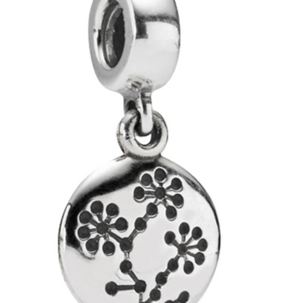 Pandora Floral Awareness Charm